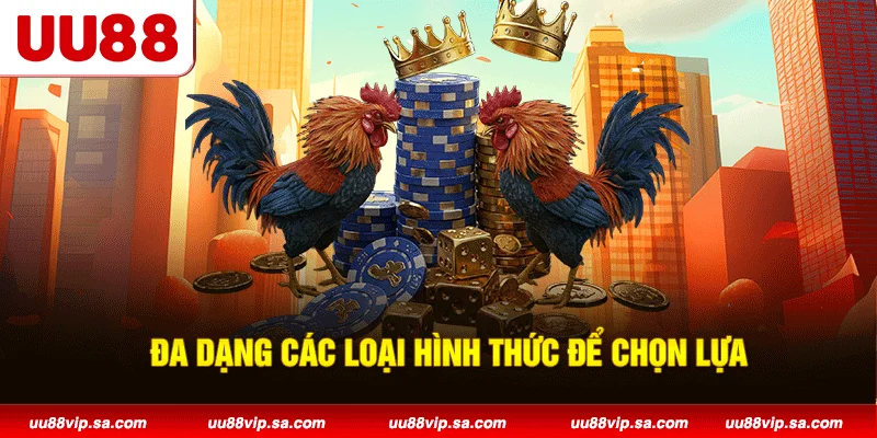 Đa dạng các loại hình thức để chọn lựa
