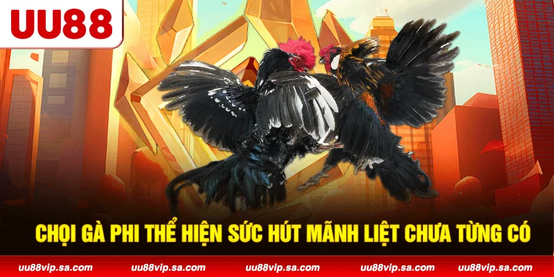 Chọi gà PHI thể hiện sức hút mãnh liệt chưa từng có